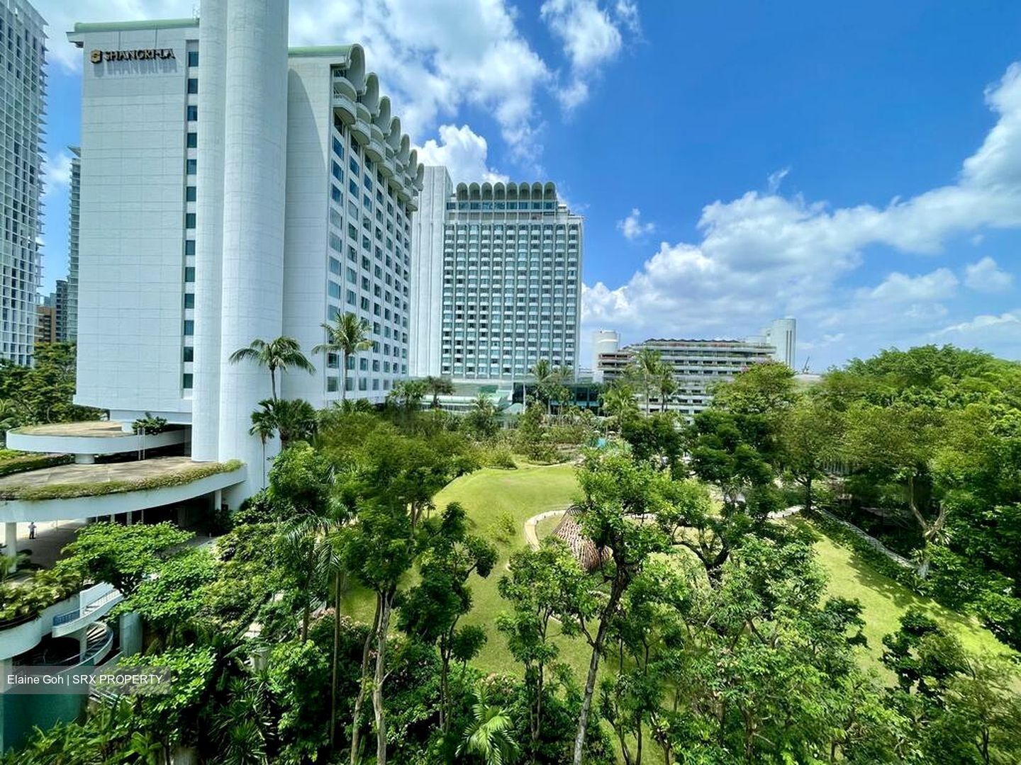 Gardenville (D10), Condominium #429804101